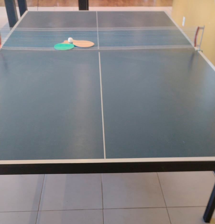 Mesa De Ping Pong Oficial Usada